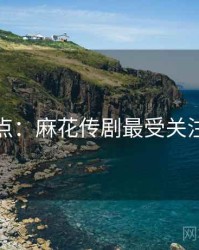 数据盘点：麻花传剧最受关注的事件