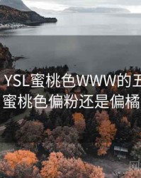 排行榜:YSL蜜桃色WWW的五大看点,蜜桃色偏粉还是偏橘