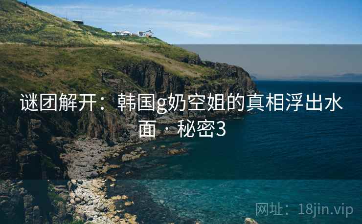 谜团解开：韩国g奶空姐的真相浮出水面 · 秘密3