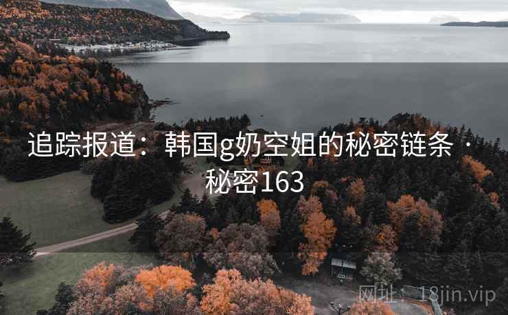 追踪报道：韩国g奶空姐的秘密链条 · 秘密163