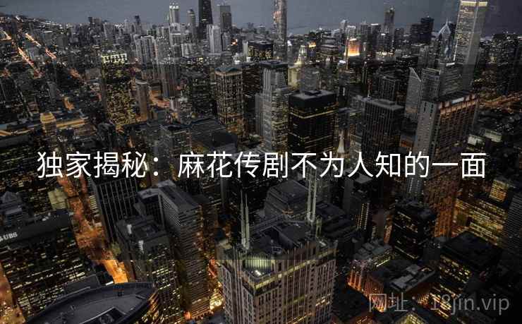 独家揭秘:麻花传剧不为人知的一面 独家揭秘:麻花传剧不为人知的一面